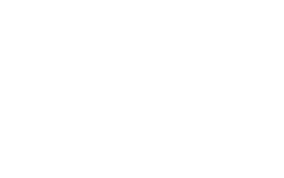 Logo blanc avec fond transparent de Terrexpert